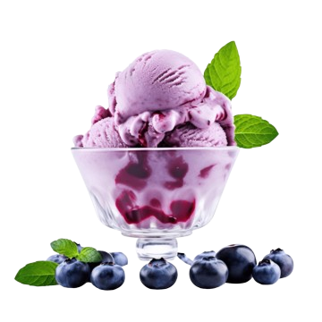  Blueberry ice cream
